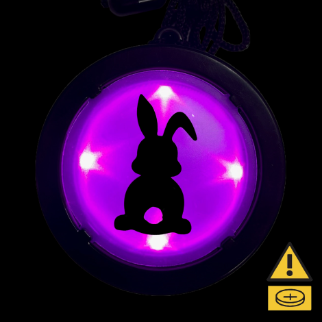Medallion Necklace - Bunny